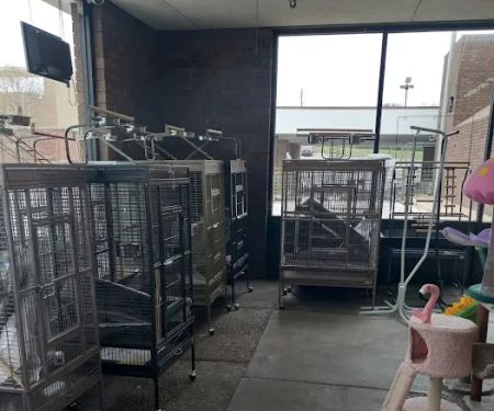 Southern Agriculture Inc: Mitchell David G DVM