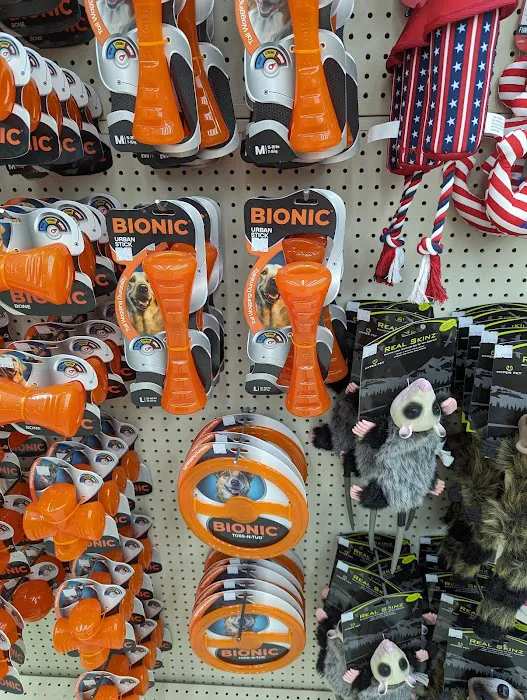 Southern Agriculture Inc: Mitchell David G DVM Picture 5