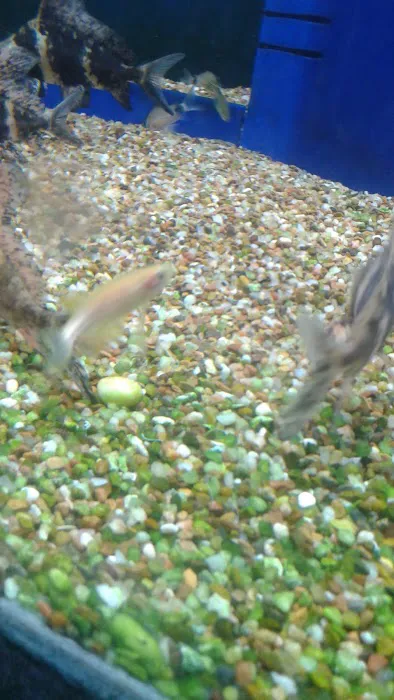 Southern Agriculture Inc: Mitchell David G DVM Picture 9