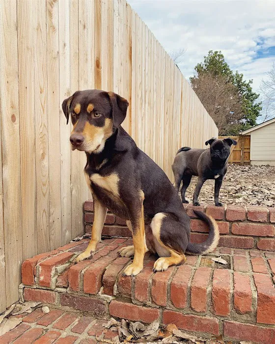 VCA Woodland South Animal Hospital Picture 4