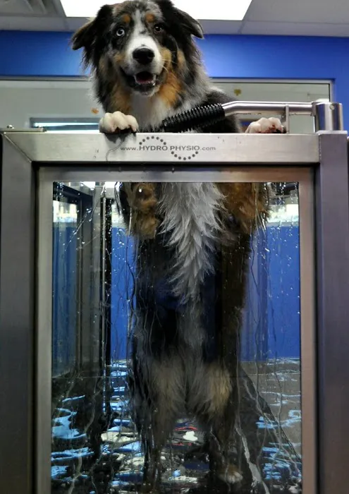 VCA Woodland South Animal Hospital Picture 9