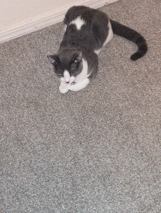 Dr. Maggie George Picture 1