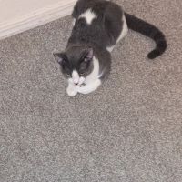 Dr. Maggie George ico