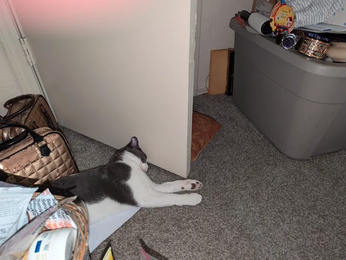 Dr. Maggie George Picture 2