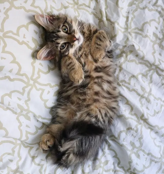 Dr. Maggie George Picture 3