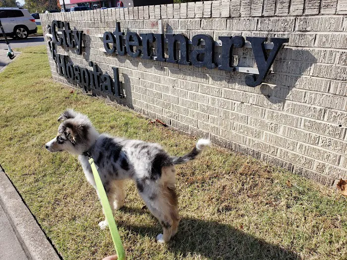 City Veterinary Hospital Picture 2