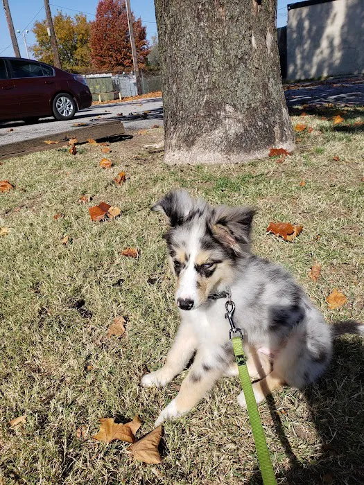 City Veterinary Hospital Picture 5