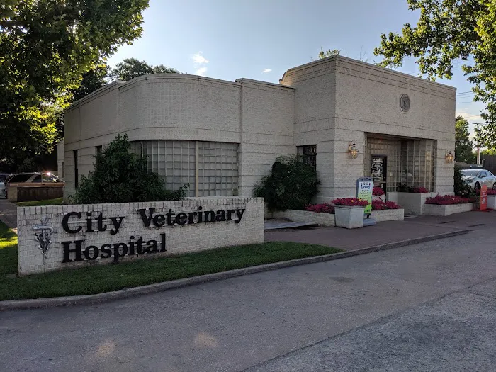 City Veterinary Hospital Picture 7