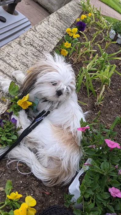 City Veterinary Hospital Picture 8