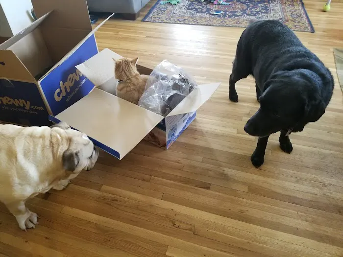 City Veterinary Hospital Picture 6