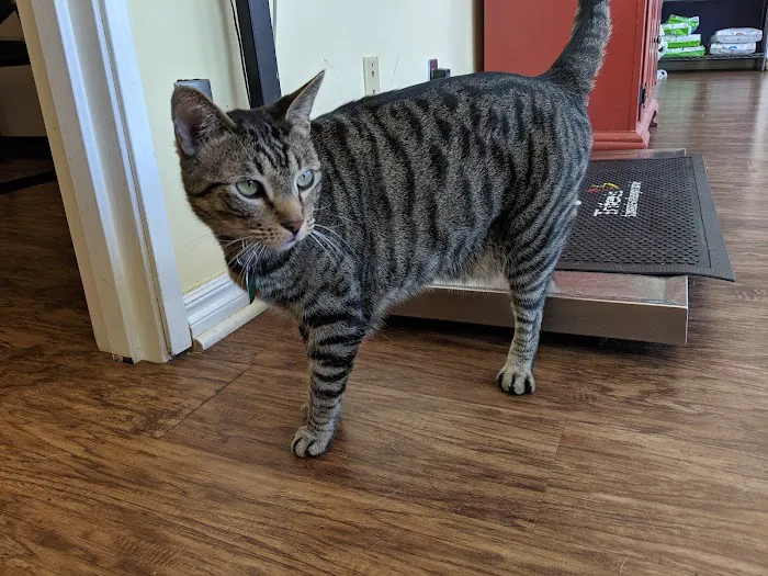 Riverbrook Animal Hospital Picture 3