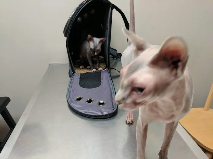 Riverbrook Animal Hospital Picture 1