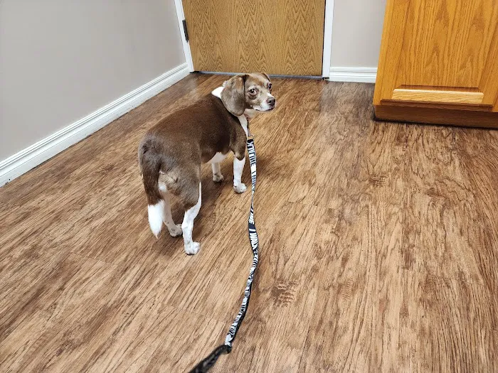 Riverbrook Animal Hospital Picture 2