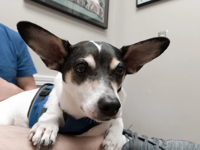 Riverbrook Animal Hospital Picture 4