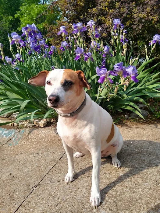 Riverbrook Animal Hospital Picture 8