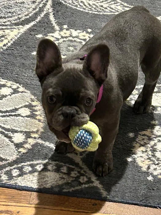 Riverbrook Animal Hospital Picture 6