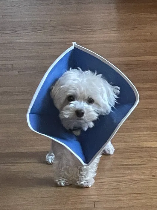 Riverbrook Animal Hospital Picture 7