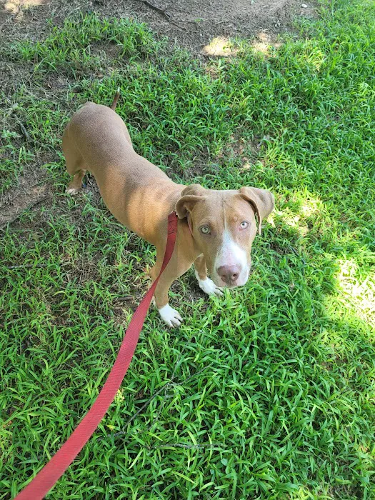 Riverbrook Animal Hospital Picture 10