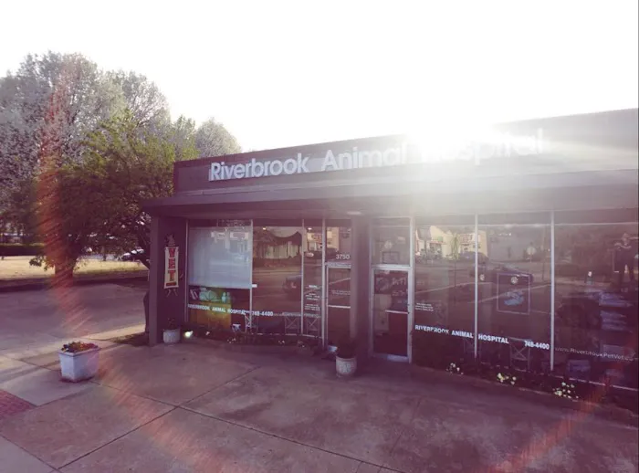 Riverbrook Animal Hospital Picture 9