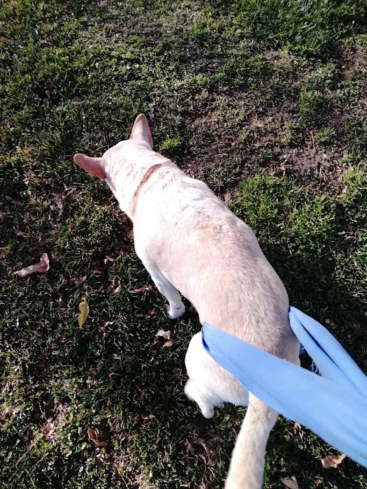 Harvard Avenue Veterinary Hospital Picture 2