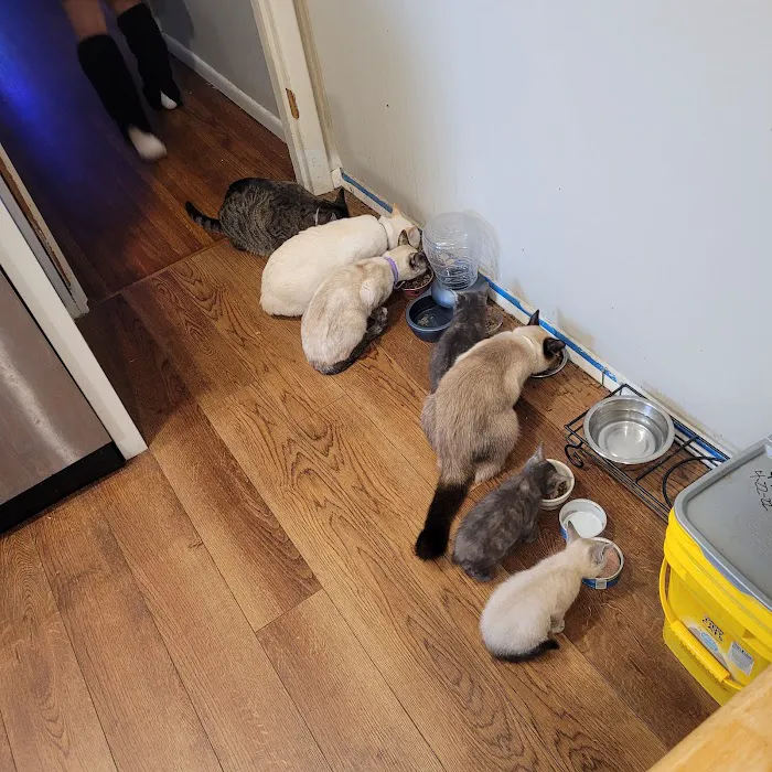 Harvard Avenue Veterinary Hospital Picture 5