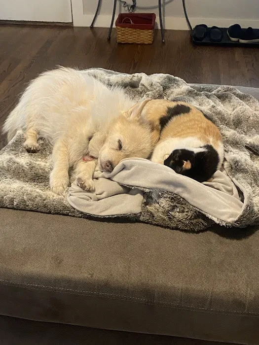 Brookside Animal Hospital Picture 1