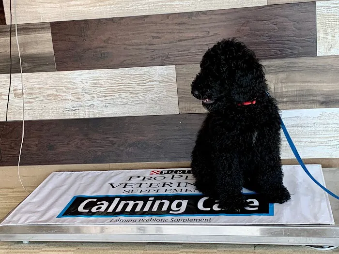 Brookside Animal Hospital Picture 3