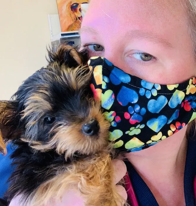 Brookside Animal Hospital Picture 5