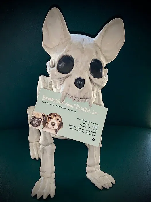 Brookside Animal Hospital Picture 6