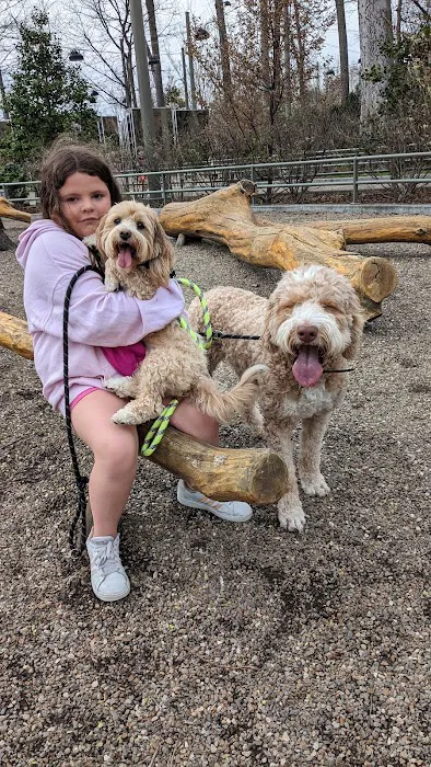 Brookside Animal Hospital Picture 8