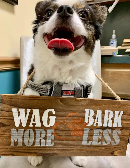 Brookside Animal Hospital Picture 10