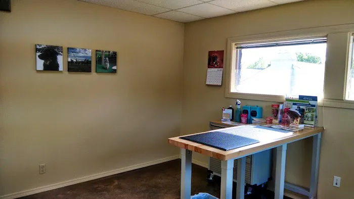 Tulsa Town Veterinary Hospital Picture 6