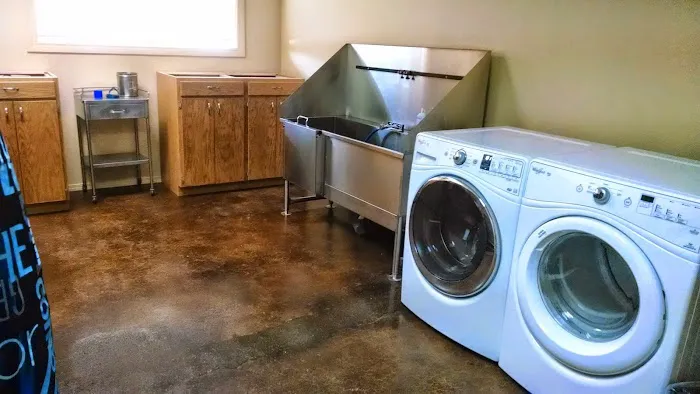 Tulsa Town Veterinary Hospital Picture 10