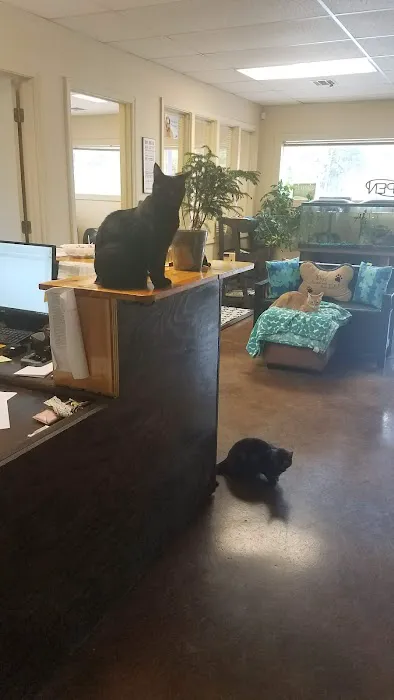 Tulsa Town Veterinary Hospital Picture 9