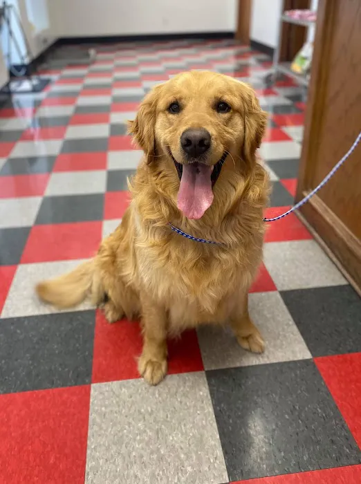 Carbondale Veterinary Hospital Picture 1