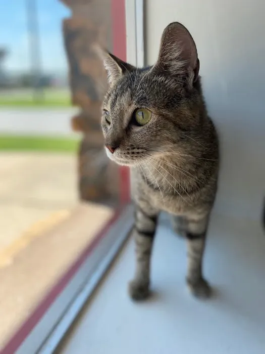 Carbondale Veterinary Hospital Picture 7