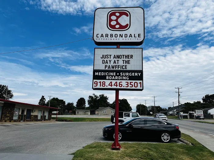 Carbondale Veterinary Hospital Picture 3