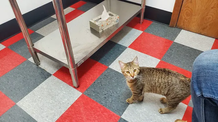 Carbondale Veterinary Hospital Picture 6