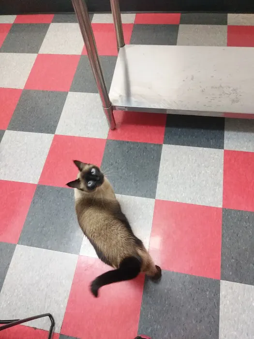 Carbondale Veterinary Hospital Picture 5