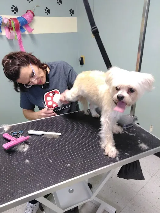 Carbondale Veterinary Hospital Picture 10