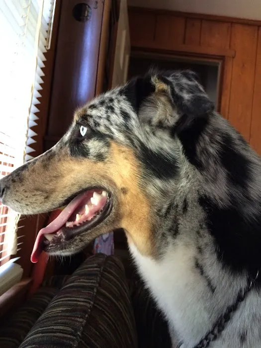 Edgewood Veterinary Hospital Picture 2