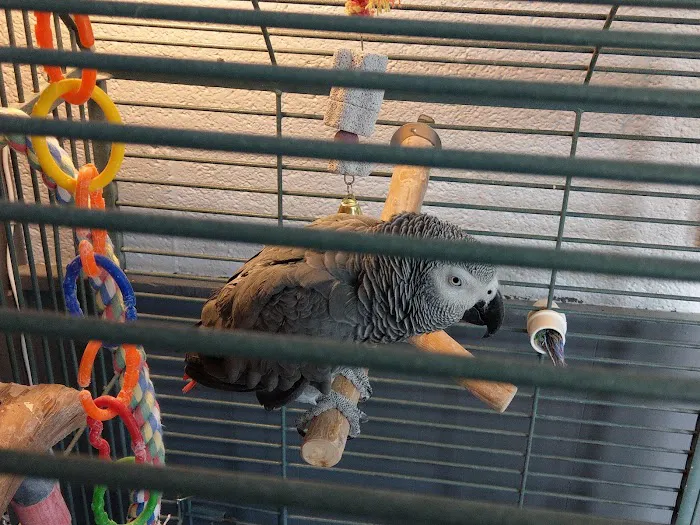 Edgewood Veterinary Hospital Picture 7