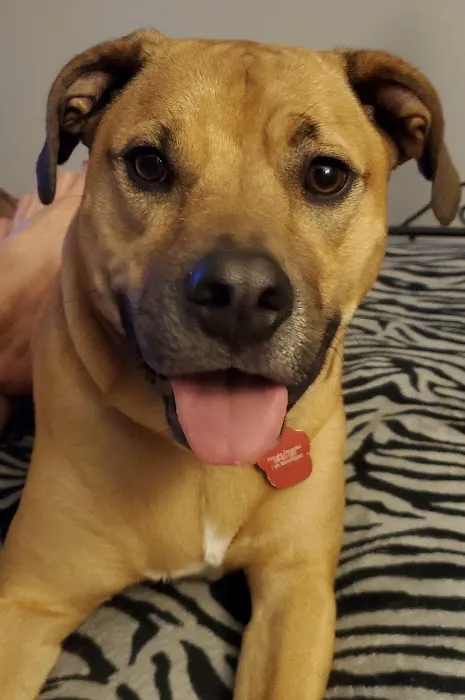 Edgewood Veterinary Hospital Picture 4