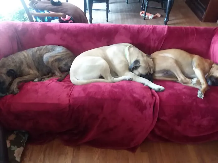 Edgewood Veterinary Hospital Picture 10