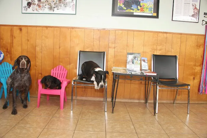 Edgewood Veterinary Hospital Picture 8