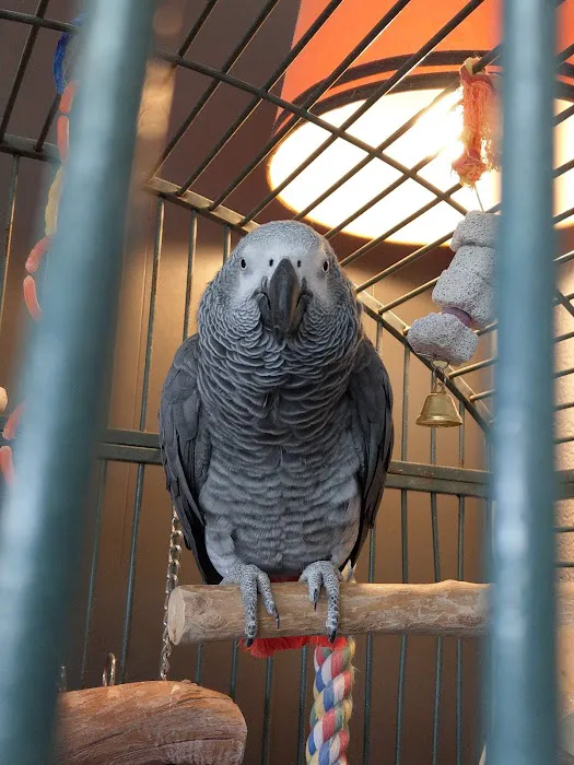 Edgewood Veterinary Hospital Picture 9