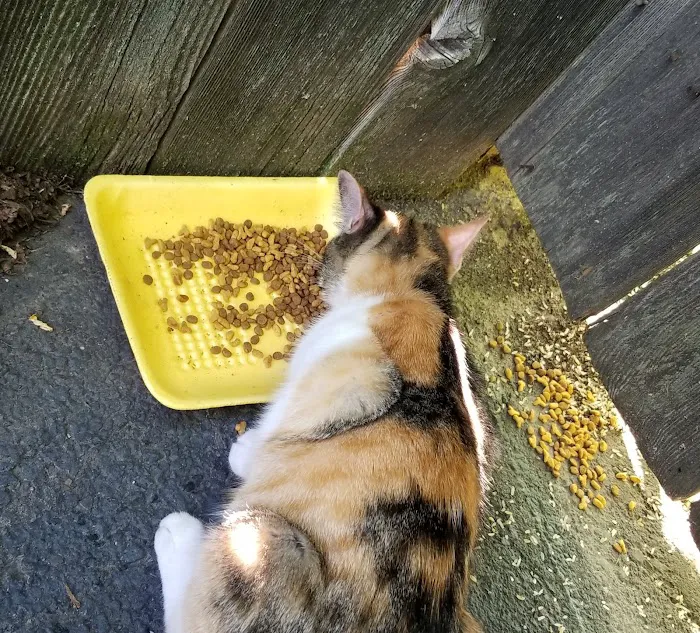 Labahn Veterinary Hospital Picture 4