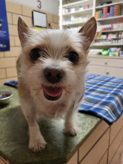 Labahn Veterinary Hospital Picture 3