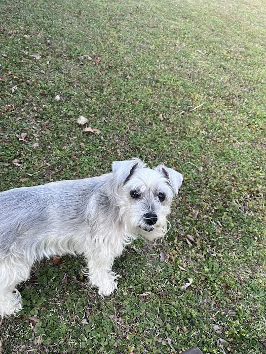 Labahn Veterinary Hospital Picture 1