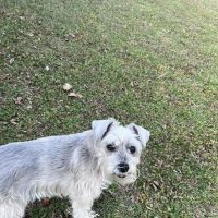 Labahn Veterinary Hospital ico